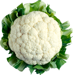 Cauliflower PNG-12679